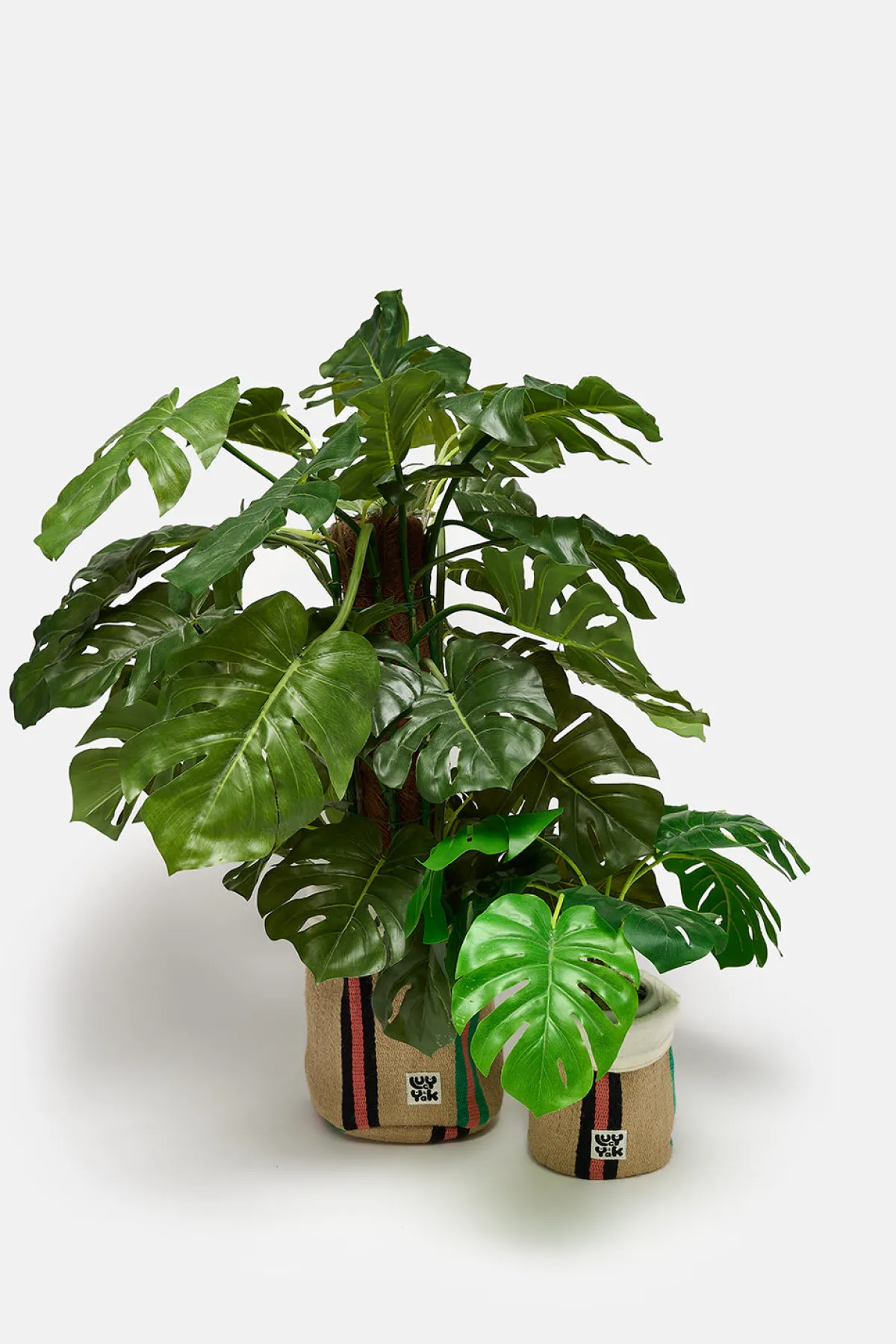 Online Runa - Plant Pot Cover in Natural, Pink, Green Stripe (2 Pack) All Accessories|Homeware