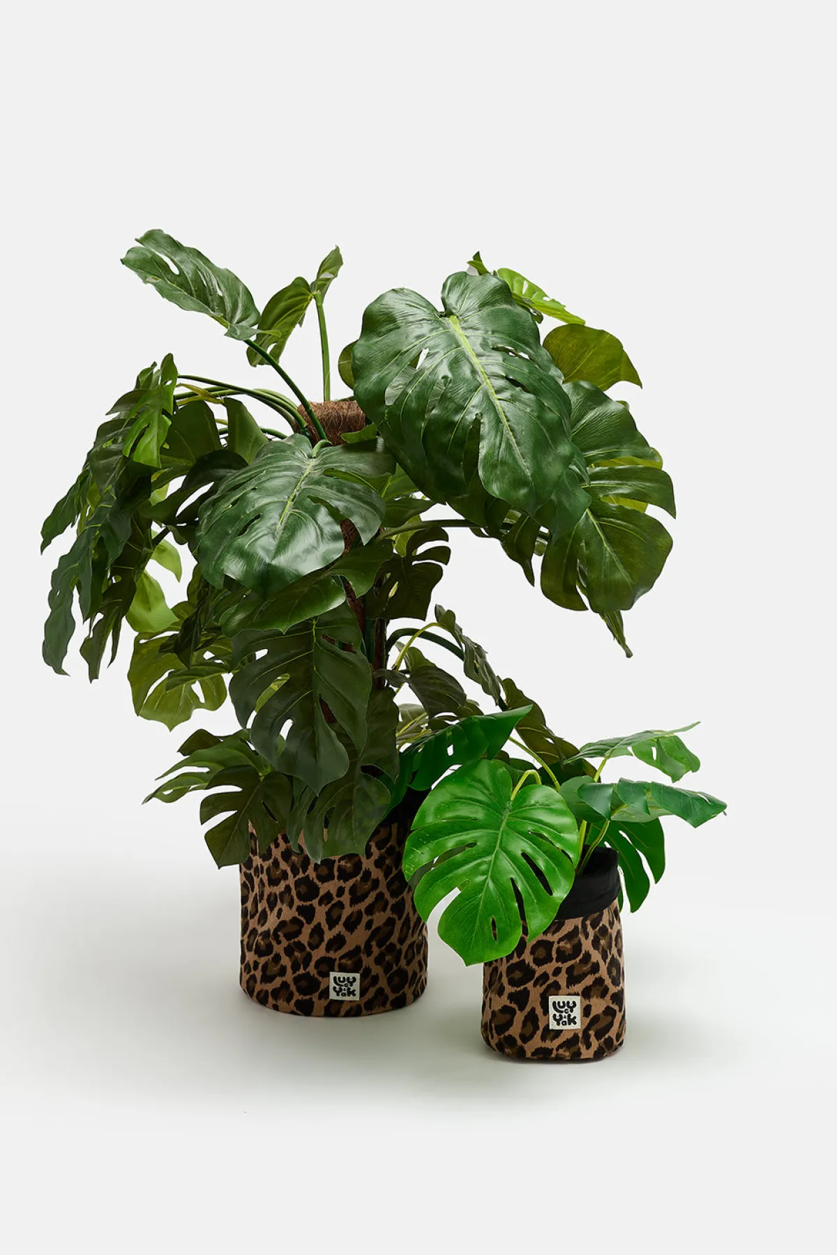 Outlet Runa - Plant Pot Covers in Leopard Corduroy Print (2 Pack) All Accessories|Homeware
