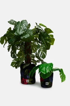 New Runa - Plant Pot Covers in Maria Print (2 Pack) All Accessories|Homeware